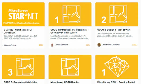 Online School - 1 Year Access